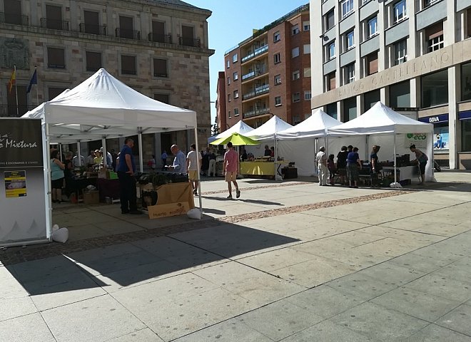 Organic Market (Zamora)