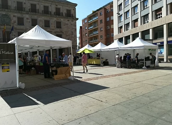 Organic Market (Zamora)